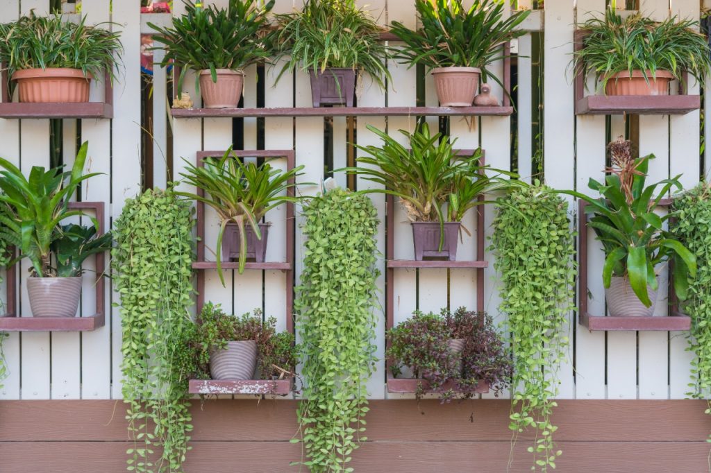 jardim vertical de madeira na zona leste